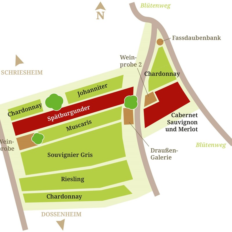  Acht Rebsorten, darunter Spätburgunder, Merlot, Cabernet Sauvignion,  Chardonnay, Riesling und die Piwis Souvignier Gris, Muscaris und Johanniter prägen die Weinauswahl. 